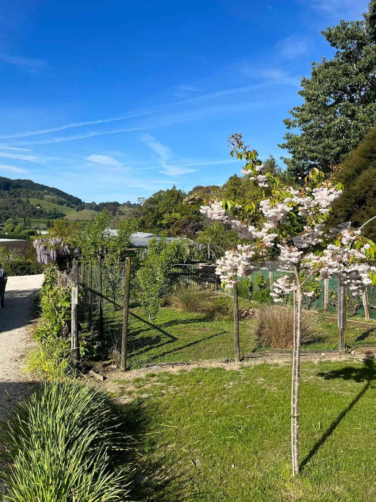 Terraced Chalets Motueka Eksteriør bilde